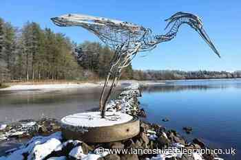 Beauty of East Lancashire in this superb selection of photos