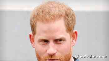Prince Harry Helps Kids Cope With Loss in Children's Book Foreword