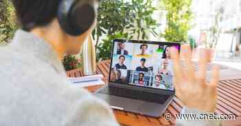 Escape your Zoom meeting with a barking dog, crying baby and other audio tricks     - CNET