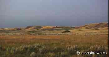 Organization looks to turn SGI rebates into grasslands preservation