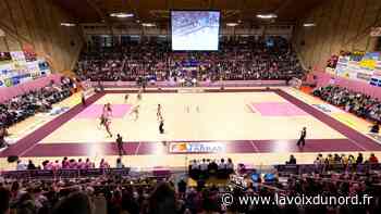 Basket : comment les « Demoiselles d'Arras » se sont offert il y a dix ans une formidable épopée jusqu'en finale d'Eurocoupe (1/5) - La Voix du Nord