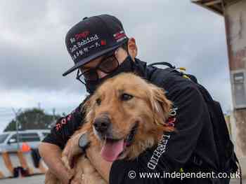 Los Angeles becomes ‘no-kill’ city after finding homes for shelter animals