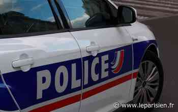 Le Plessis-Bouchard : il menace un automobiliste avec sa réplique de 9 mm - Le Parisien
