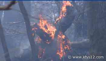 Shawnee National Forest to conduct more prescribed burns - KFVS