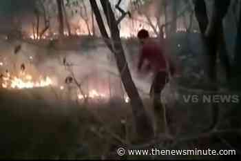 Fresh forest fire reported in Telangana’s Amrabad Tiger Reserve - The News Minute