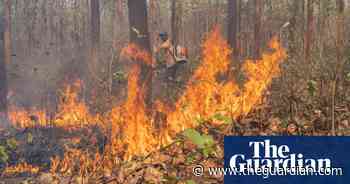 Leaf blowers and beating branches: the fight to stop India’s forest fires - The Guardian
