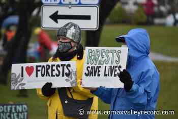 Comox Valley joins Forest March BC - Comox Valley Record