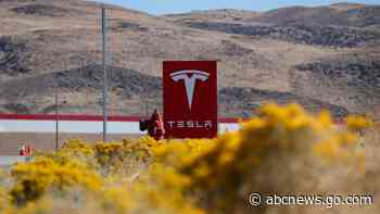Russian man pleads guilty in Nevada to plot to extort Tesla