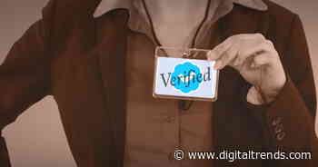 How to get verified on Instagram (the right way)