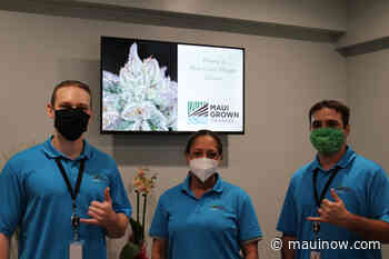 “Click & Go” Medical Cannabis Now Available in West Maui - Maui Now