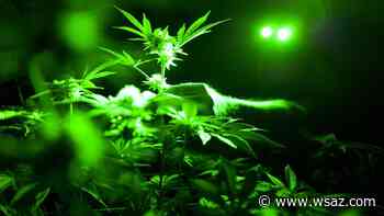 Medical cannabis testing laboratory announced - WSAZ-TV