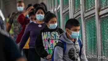 Feds will start putting some migrant families in hotels