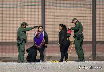 Number of migrant children in US custody passed 15,000: report