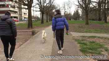 Modena, bocconi avvelenati per i cani nei parchi: è allarme - Gazzetta di Modena