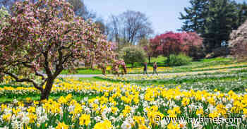 8 Public Gardens From Across the United States