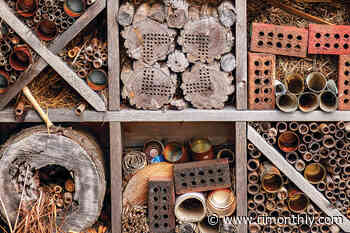 Snapshot: Bug-ingham Palace - Rhode Island Monthly