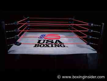 USA Boxing Forms Alumni Association | BoxingInsider.com - BoxingInsider.com