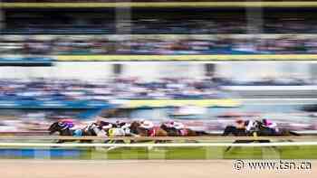 Woodbine CEO sends letter to city of Toronto asking for their support to allow racing - TSN