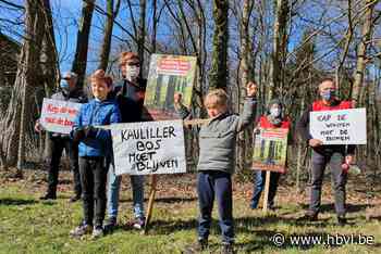 Geplande zandwinning blijft gemoederen beroeren: “Geen gesmos met Kauliller bos” - Het Belang van Limburg
