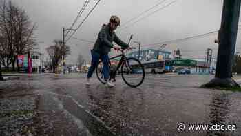 Great COVID-19 bicycle boom expected to keep bike industry on its toes for years to come