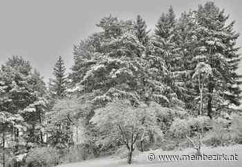 Winterliche Tage: Schnee im Anmarsch - Neunkirchen - meinbezirk.at