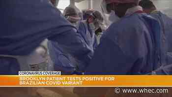 Brazilian COVID-19 variant found in Brooklyn man