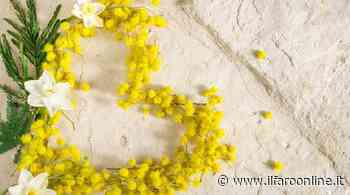 "Donne e chiusura sociale", l'evento online del Comune di Ardea per l'8 marzo - IlFaroOnline.it