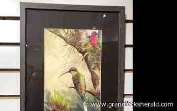 Northwest Minnesota Arts Council presents 'Birds' exhibit at Thief River Falls gallery - Grand Forks Herald