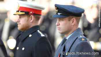Prince Harry, Prince William may never 'have the same closeness,' royal expert claims: 'It’s gone too far'