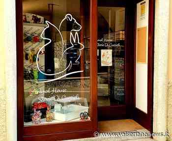 "Storie di Cuccioli": nel centro storico di Clusone torna un negozio dedicato agli animali - Valseriana News