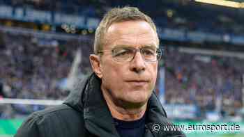 Schalke 04: "Konstruktives Gespräch" mit Rangnick-Management über mögliche Zusammenarbeit - Eurosport DE
