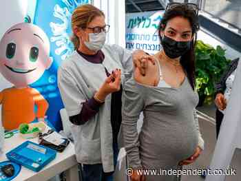 Vaccinated pregnant mothers pass antibodies to babies, research shows