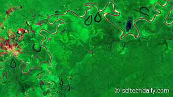 Exploring Earth From Space: Amazon Rainforest