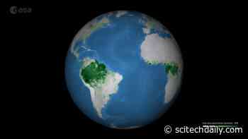 New Maps of Above Ground Biomass Is Set to Help Our Understanding of Global Carbon Cycling