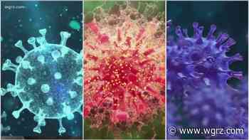 What you need to know about all these coronavirus variants - WGRZ.com