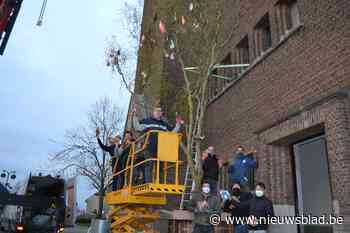 Paasboom moet bewoners hart onder de riem steken: “Adem hartjes in en kusjes uit”<BR />