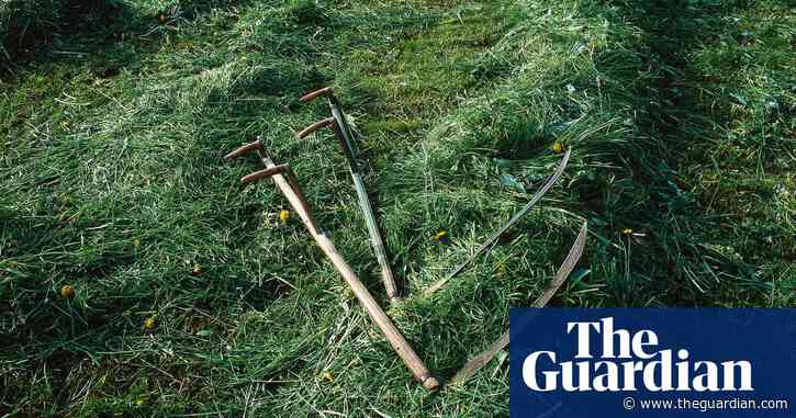 Country diary: cutting-edge technology from the stone age