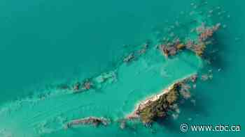 World Water Day 2021 highlights dire predictions of growing scarcity