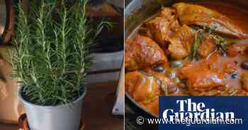 Rachel Roddy's recipe for chicken with rosemary, tomatoes and olives - The Guardian