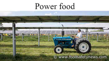 Agrivoltaics scores impressive triple win, but some food safety concerns remain - Food Safety News