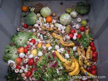 Greece Wastes More Food Than Any Other in Europe, UN Reports - Greek Reporter
