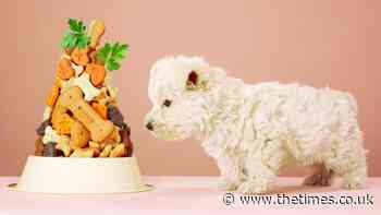 Andrew Cotter on gourmet dog food: 'Since when did our pets start eating better than us?' - The Times