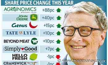 Fill up on food stocks if you want healthy returns - This is Money