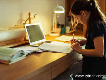 Digital skills crisis looms as students shun tech qualifications