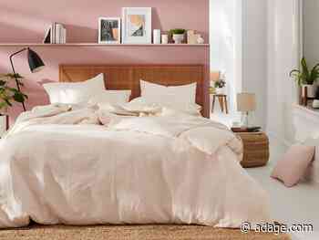 Bed Bath & Beyond introduces first new brand