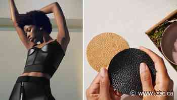 Made of fungi, mycelium hits market as green substitute for leather, plastic