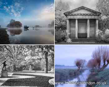 Online exhibition: Richmond & Twickenham Photographic Society