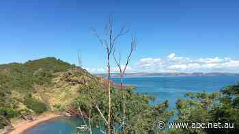 Company with control of WA island denies links to Beijing