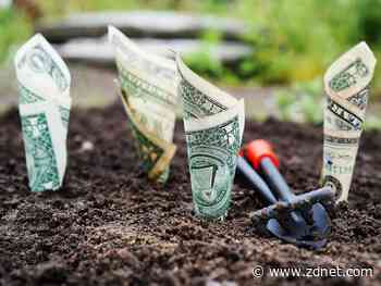 SavvyShares compensates consumers for access to their data