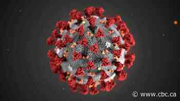 Sask. microbiologist Dr. Joseph Blondeau answers your COVID-19 questions on today's Blue Sky